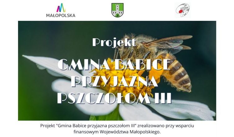 Projekt „Gmina Babice przyjazna pszczołom III”